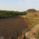 Sentier de découverte, La Somone, Sénégal