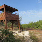 Observatoire, La Somone, Sénégal