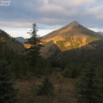 Piste forestière du col de Gleize