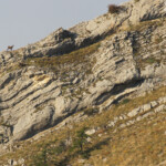 Chamois, chemin de ronde de Chaudun
