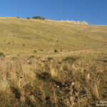 Sentier vers le Pic de Gleize