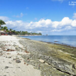 Pointe aux piments