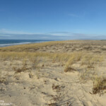 Les dunes du Cap Ferret
