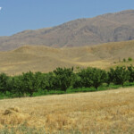 Route entre Lanjar et Védi