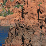 Réserve de Scandola