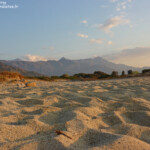 Plage près de l'Ile-Rousse