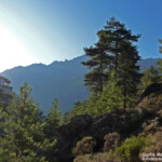 Vallée de l'Asco