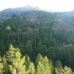 Vallée de l'Asco