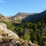 Vallée de l'Asco