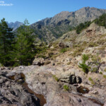 Vallée de l'Asco