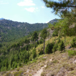 Vallée de l'Asco
