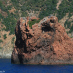 Réserve de Scandola