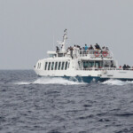 L'équipe de Découverte du vivant