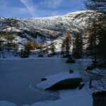 Lac des grenouilles