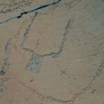 Gravure rupestre