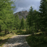Chemin pavé entre Castérino et le refuge de Fontanalbe