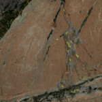 Gravures rupestres de la vallée des merveilles