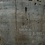 Gravure rupestre de la vallée des merveilles : la paroi vitrifiée