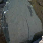 Gravure rupestre de la vallée des merveilles : le chef de tribu