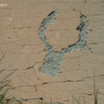 Gravures rupestres de la vallée des merveilles