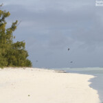 Plage de l'Ile aux Cocos, Rodrigues
