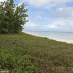 L'île aux Cocos