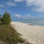 Plage de l'Ile aux Cocos, Rodrigues