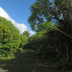 Réserve de Grande Montagne