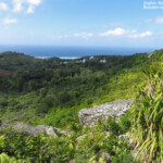 Réserve de Grande Montagne