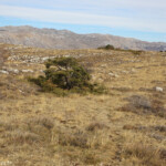 Plateau de Calern