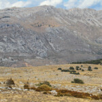 La montagne du Cheiron et le Plateau de Calern