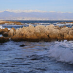Cap d'Antibes