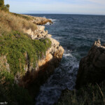Cap d'Antibes