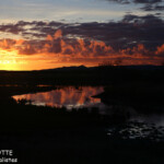 Coucher de soleil à Creek salé