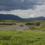 Creek salé, Pouembout