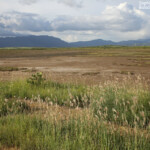 Creek salé, Pouembout