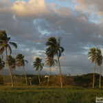 Lumières du soir sur la piste de Creek salé