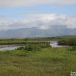 Creek salé