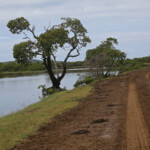 Piste de Creek salé