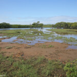 Creek salé