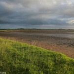 Creek salé après l'averse