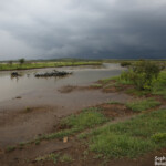 Creek salé un soir d'orage