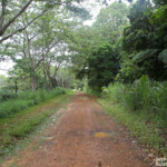 Piste pour le parc de Nehoué