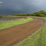 La piste de Creek salé un soir d'orage
