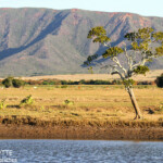 Le plateau de Tia domine la plaine de Pouembout