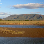 L'embouchure de Creek salé