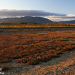 Au loin, le Koniambo se dresse dans la lumière du soir