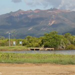 Creek salé, Pouembout