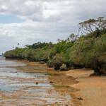 Camping d'Iya, Yaté