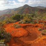 Point de vue du champ de bataille